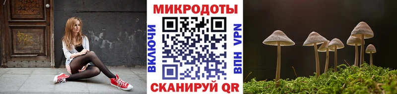 Галлюциногенные грибы ЛСД  ОМГ ОМГ ONION  Новохопёрск 